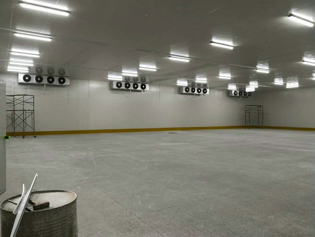 建造100平方冷凍庫(kù)需要多少錢(qián)？
